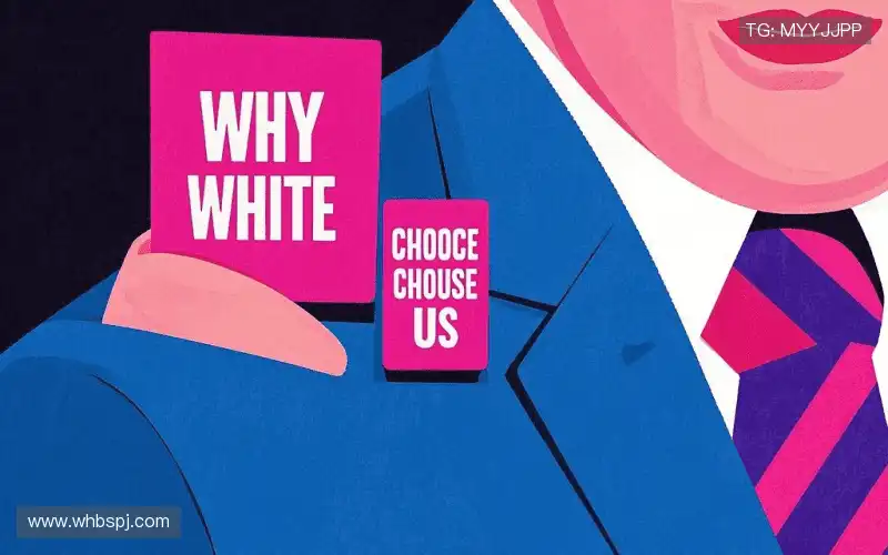 为什么选择我们?